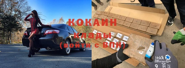 прущие крисы Абаза