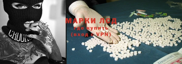 сатива Алексеевка
