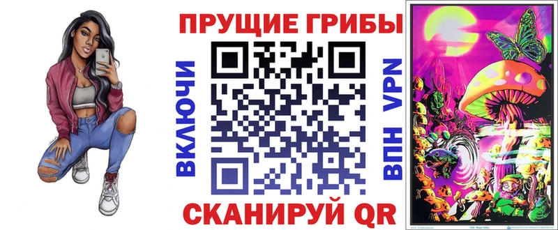 Галлюциногенные грибы Psilocybine cubensis  купить закладку  Беломорск 